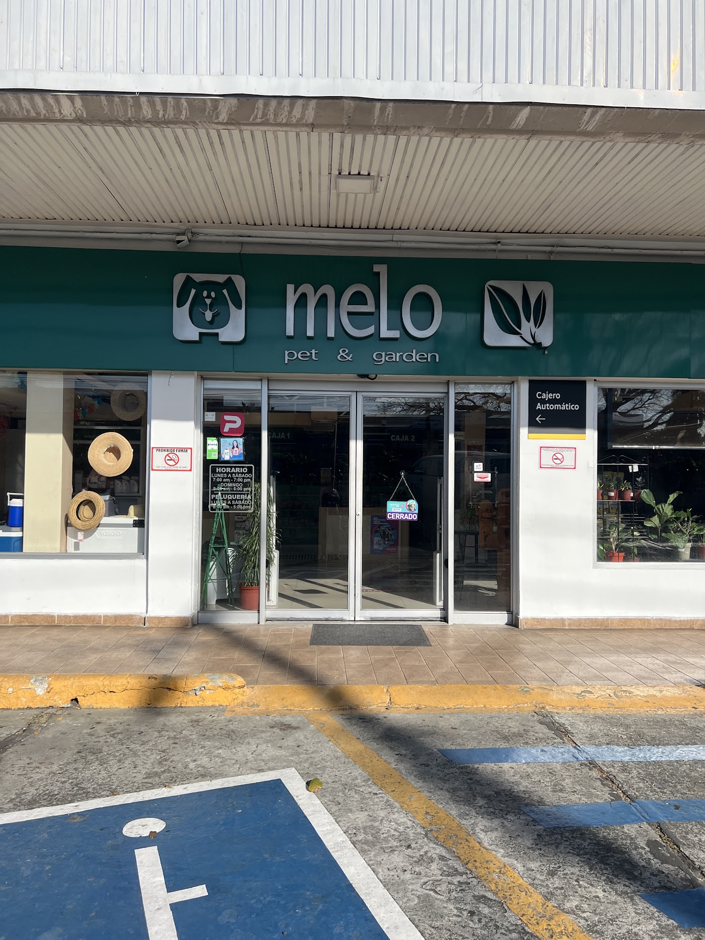 MELO foto 3